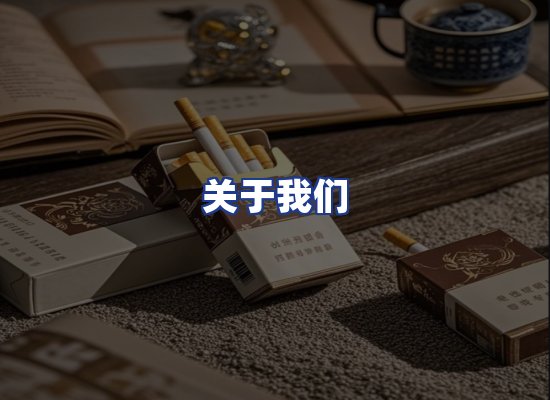 专业团队